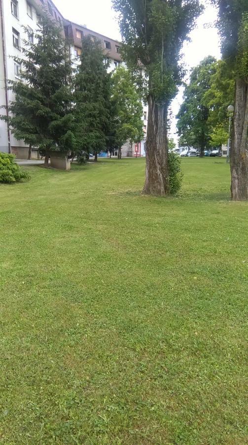 New Studio Apartment Sun With Free Parking Zagreb Dış mekan fotoğraf