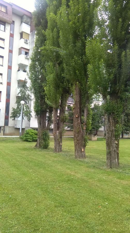 New Studio Apartment Sun With Free Parking Zagreb Dış mekan fotoğraf
